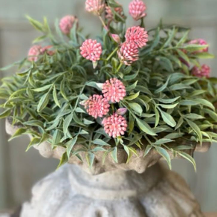 Lan 10" Pink Thimble Buds Half Sphere