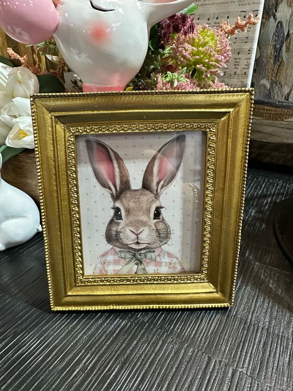 ARL Girl Dapper Bunny 5x6