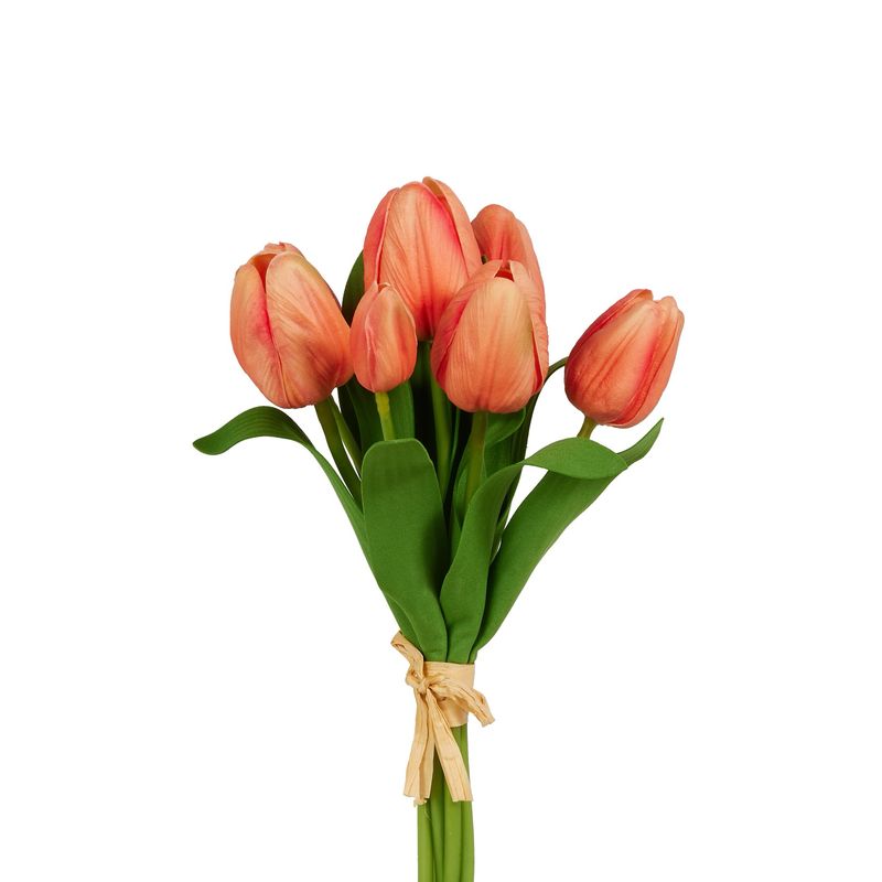 ARL 12" Coral Tulip Bundle