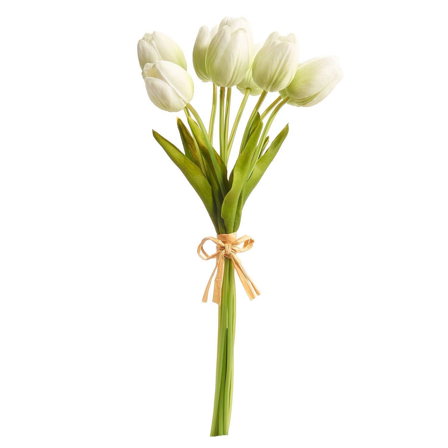 ARL 15" Light Green RT Tulip Bundle