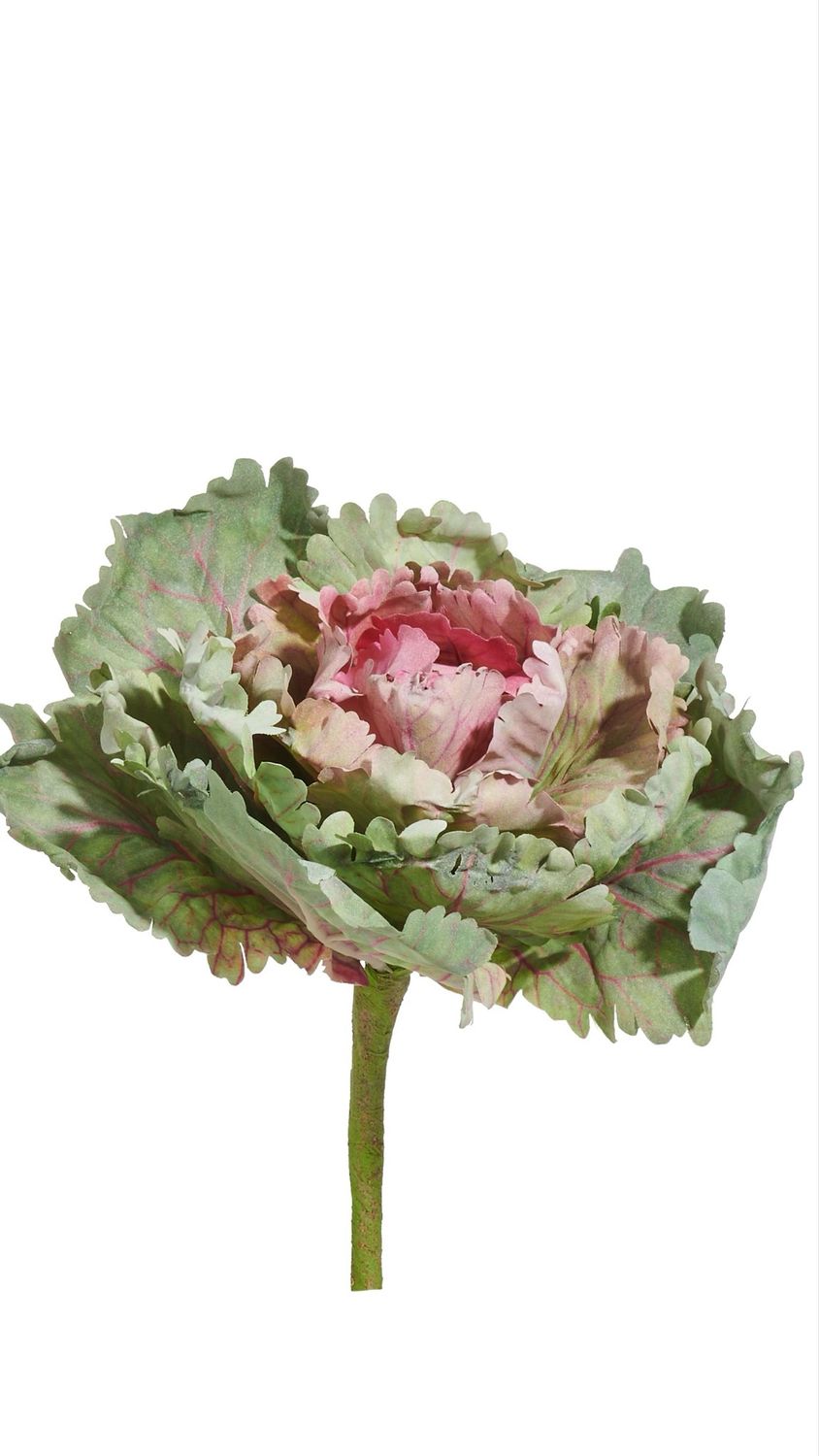 ARL 9" Pink Cabbage Stem