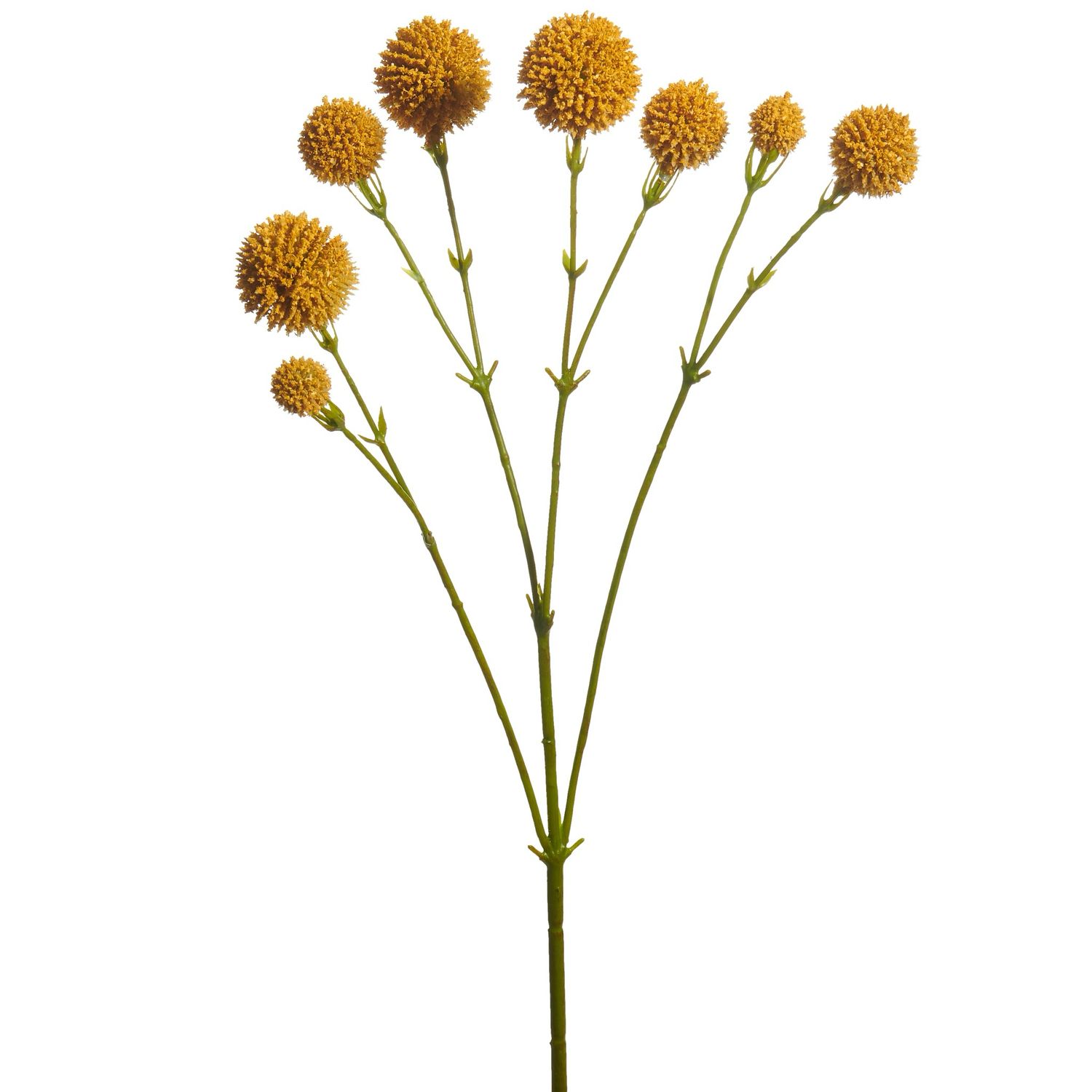 ARL 20" Yellow Billy Button Spray