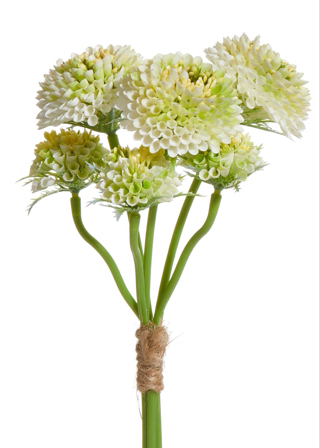 ARL 13" White Sedum Bundle