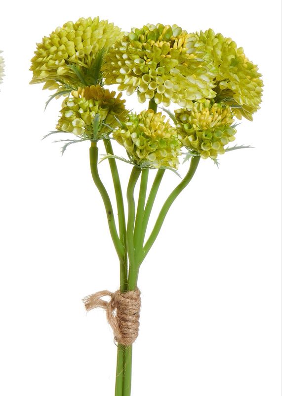 ARL 13" Green Sedum Bundle