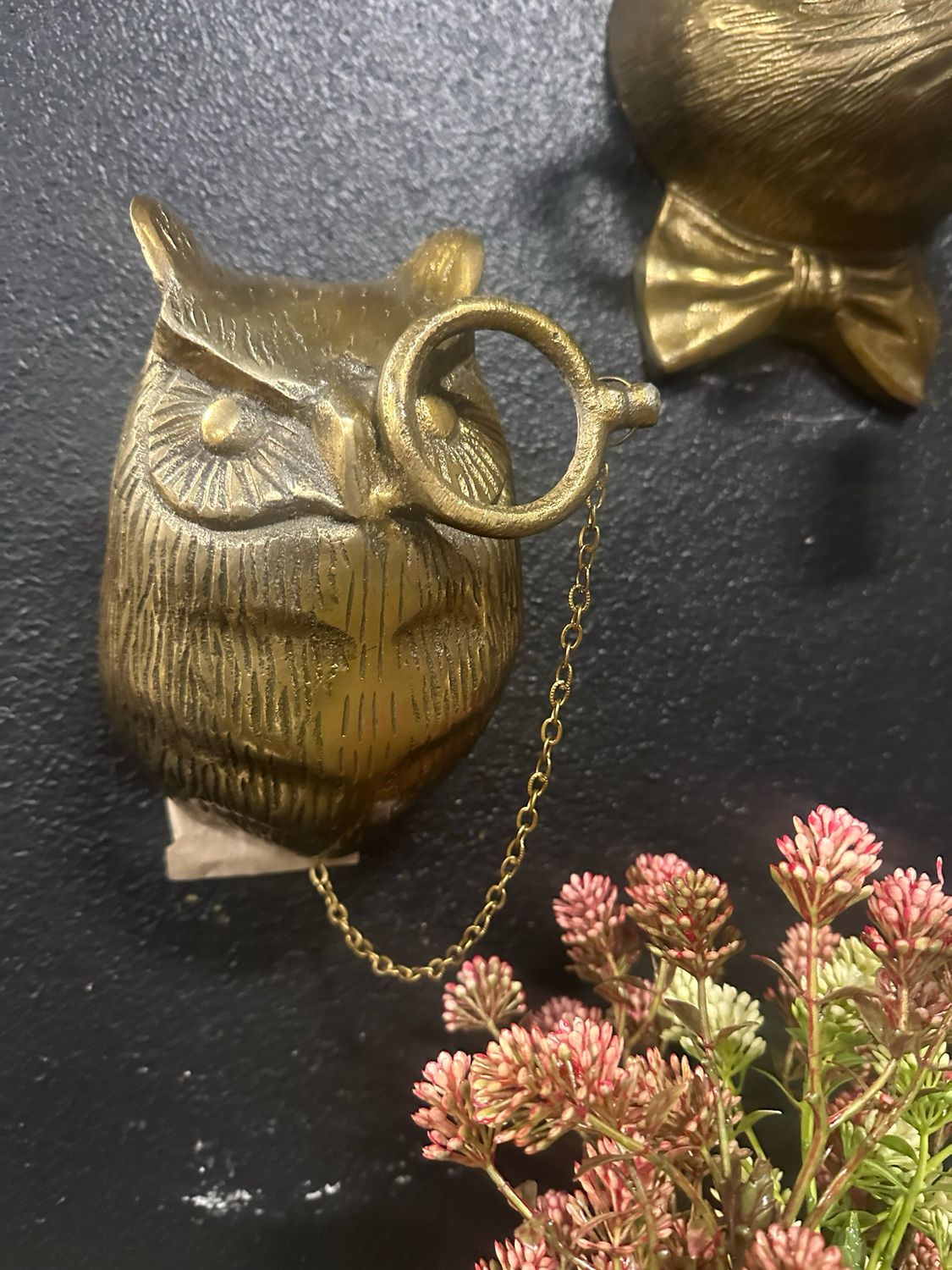 CCO Owl w/monocle 8x5