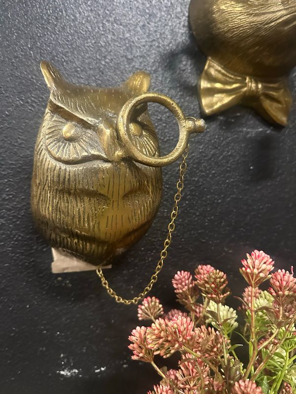 CCO Owl w/monocle 8x5