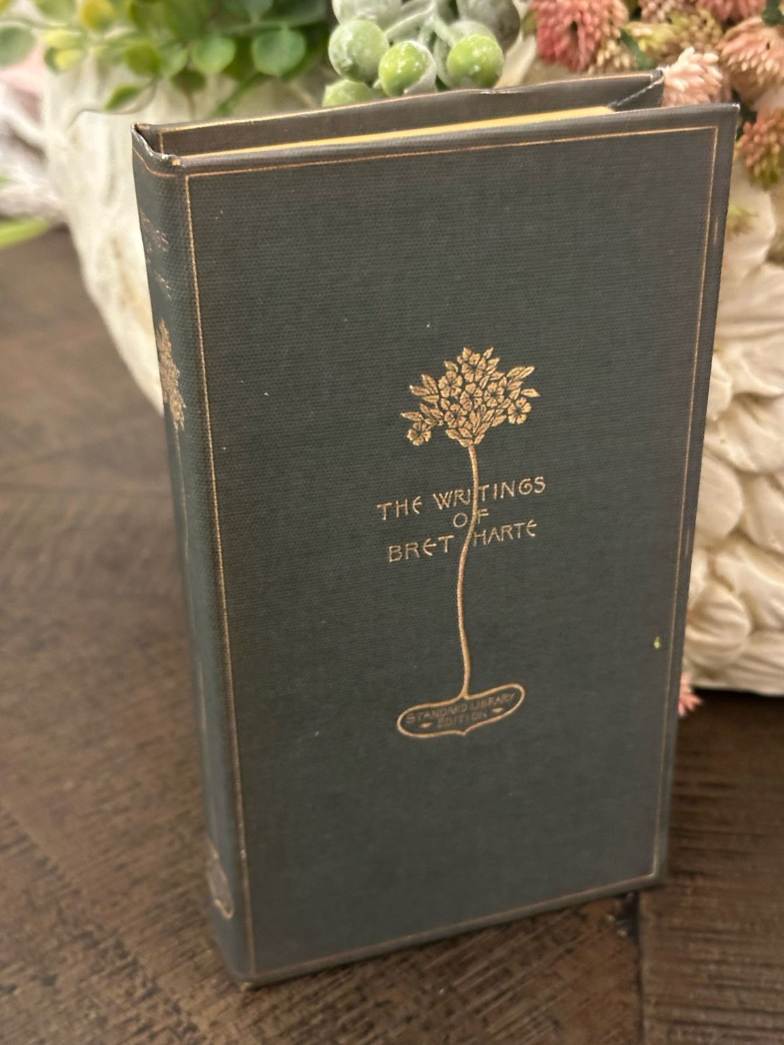 CCO Bret Harte Journal Lined Pages 4x7