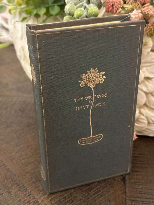 CCO Bret Harte Journal Lined Pages 4x7