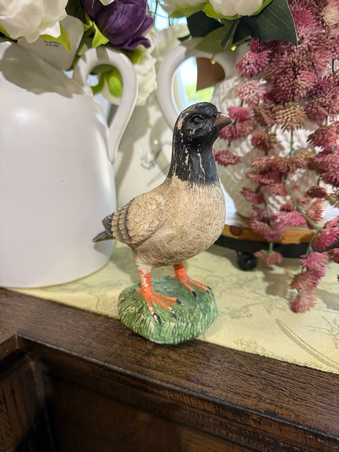 CCO Pigeon 5.5x6