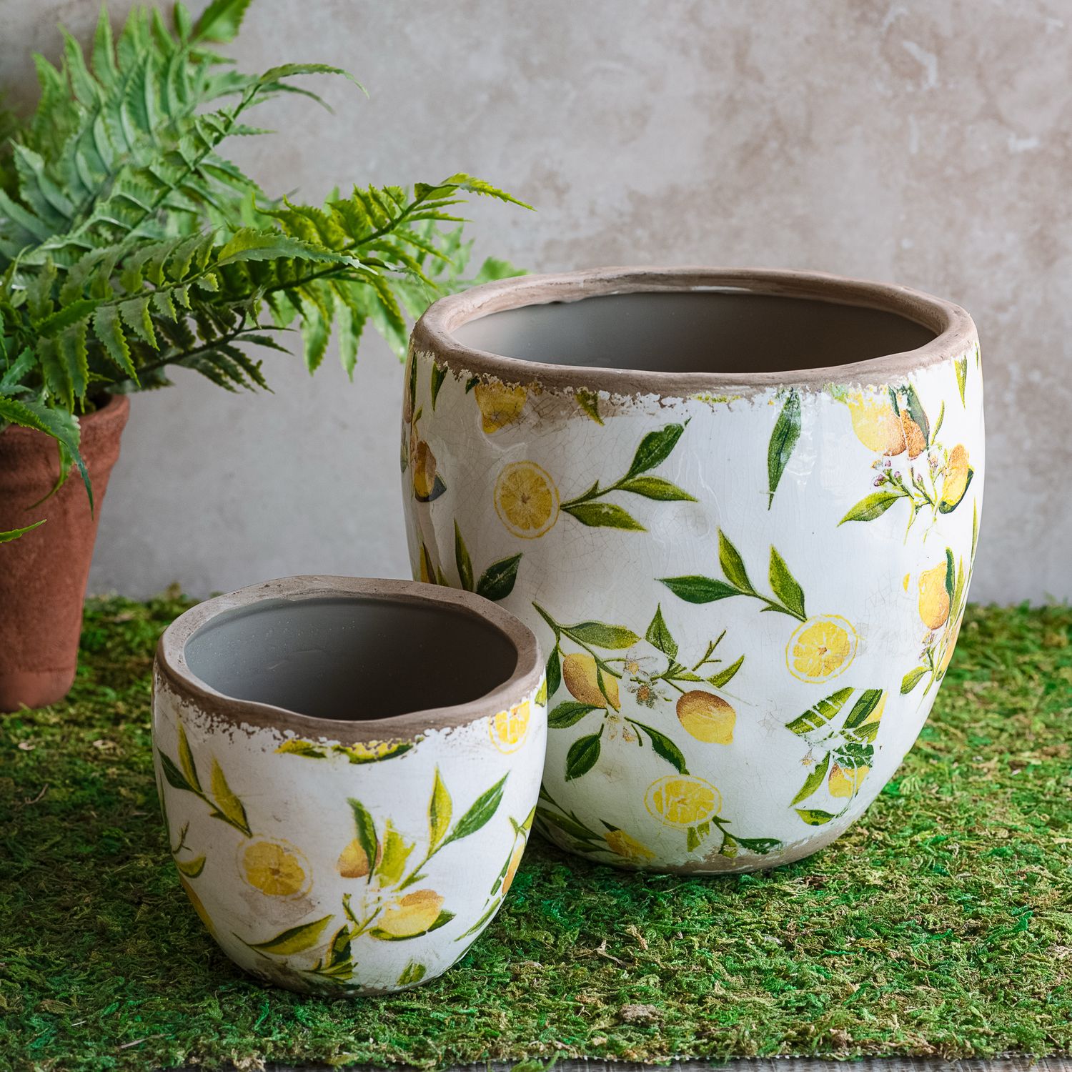 PDG Lemon Planter 7.5x7.5