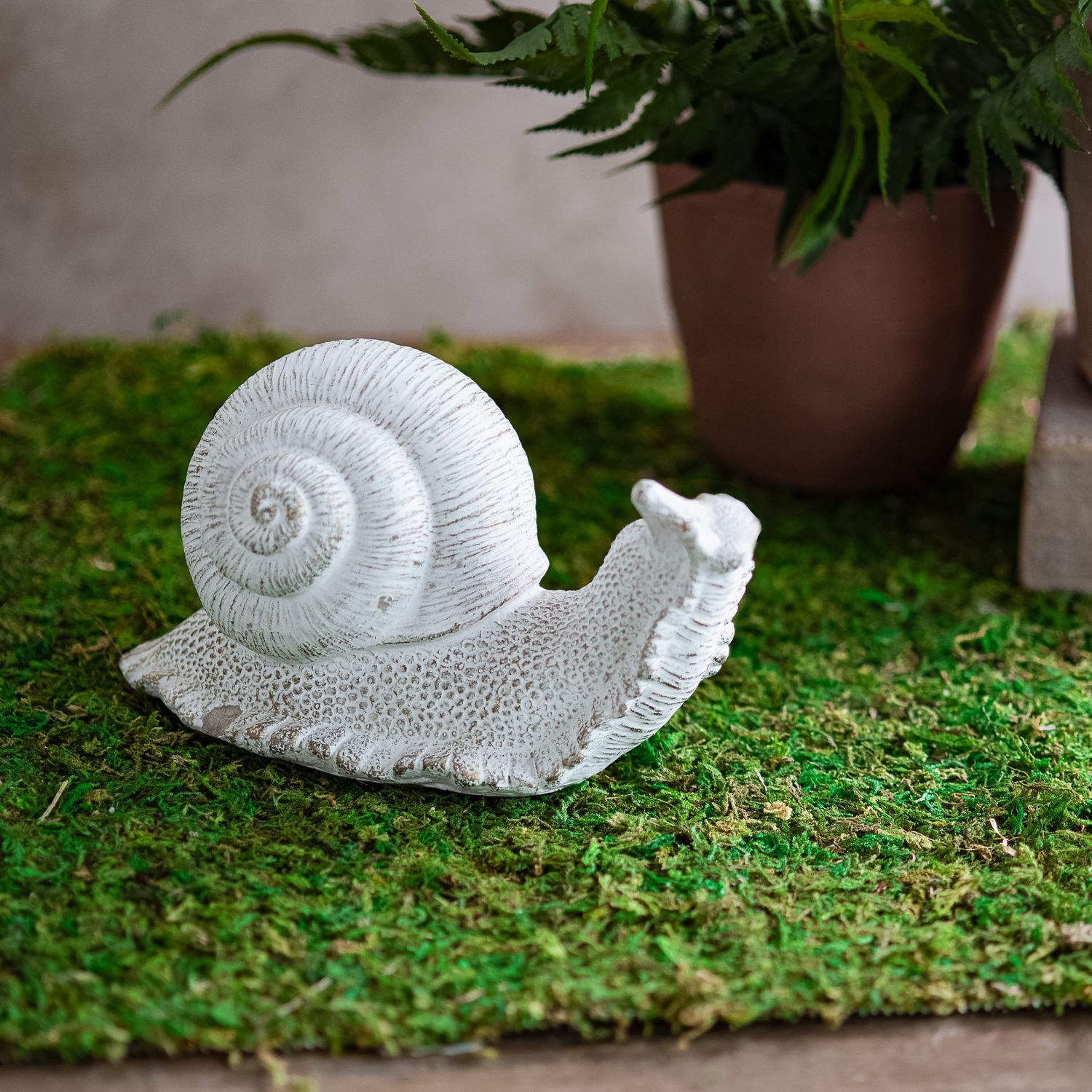 PDG 8x4 Cement Snail