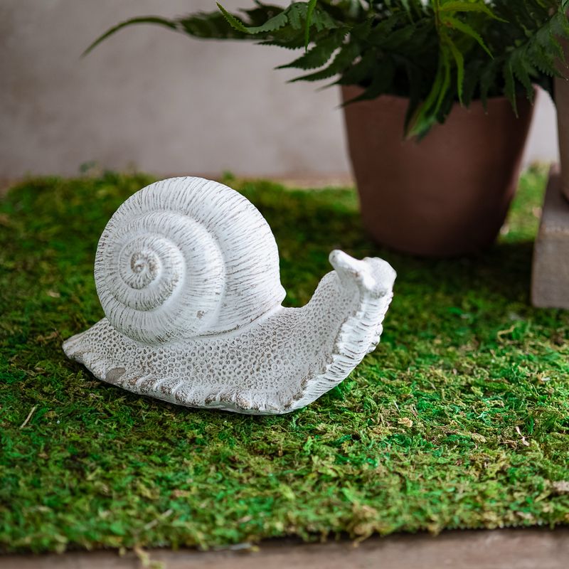 PDG 8x4 Cement Snail