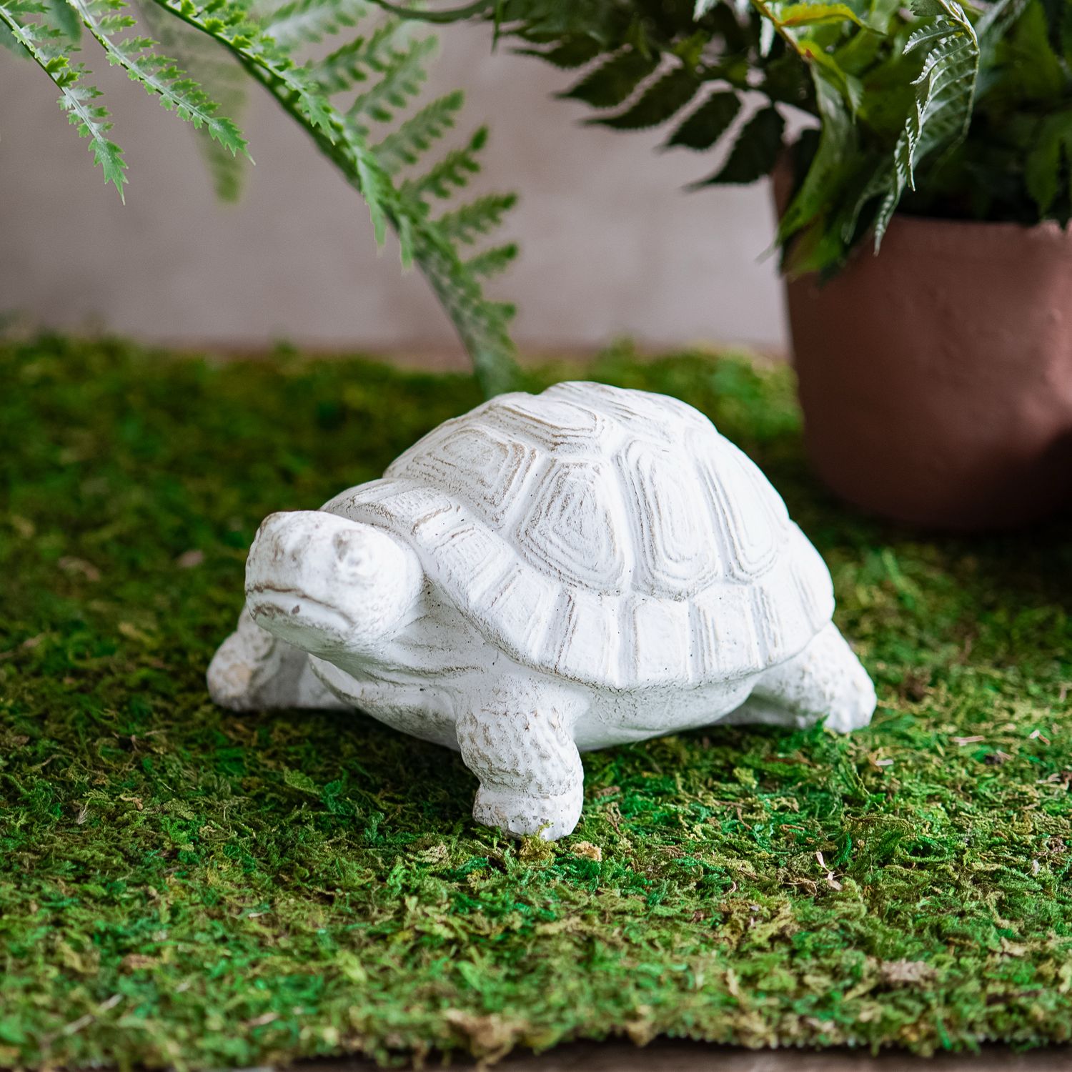 PDG 12x6 Cement Turtle