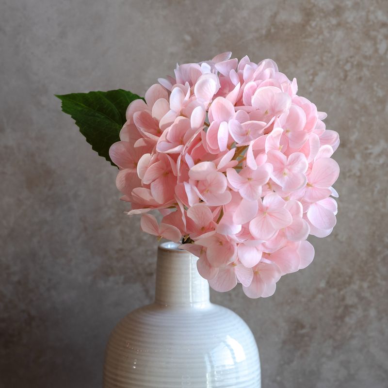 PDG 13" Pnk Hydrangea