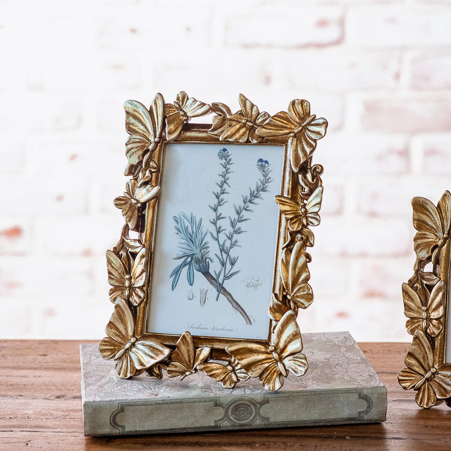 PDG 4x6 Bronze Butterfly Fr