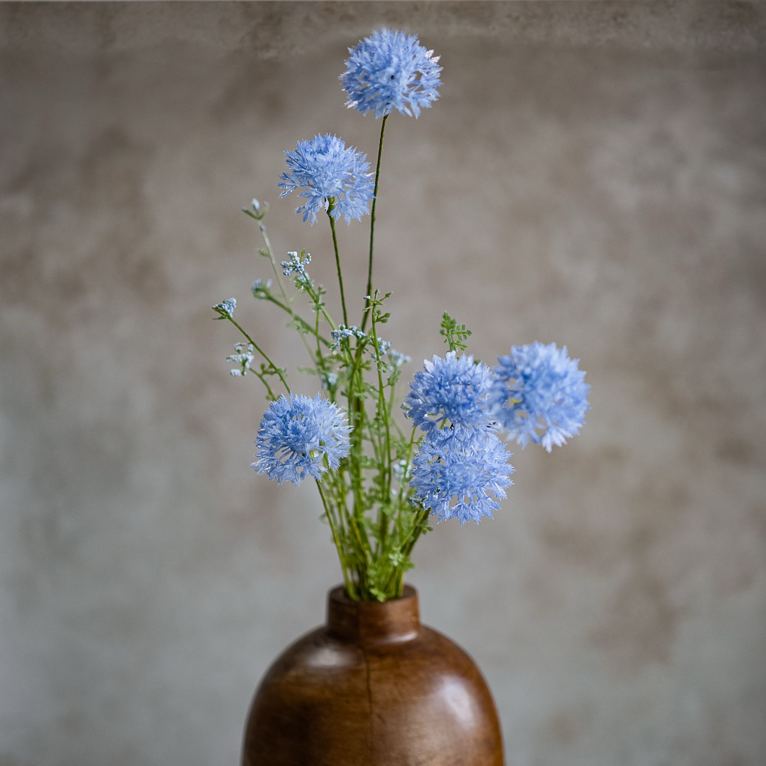 PDG 25" Bl Dandelion