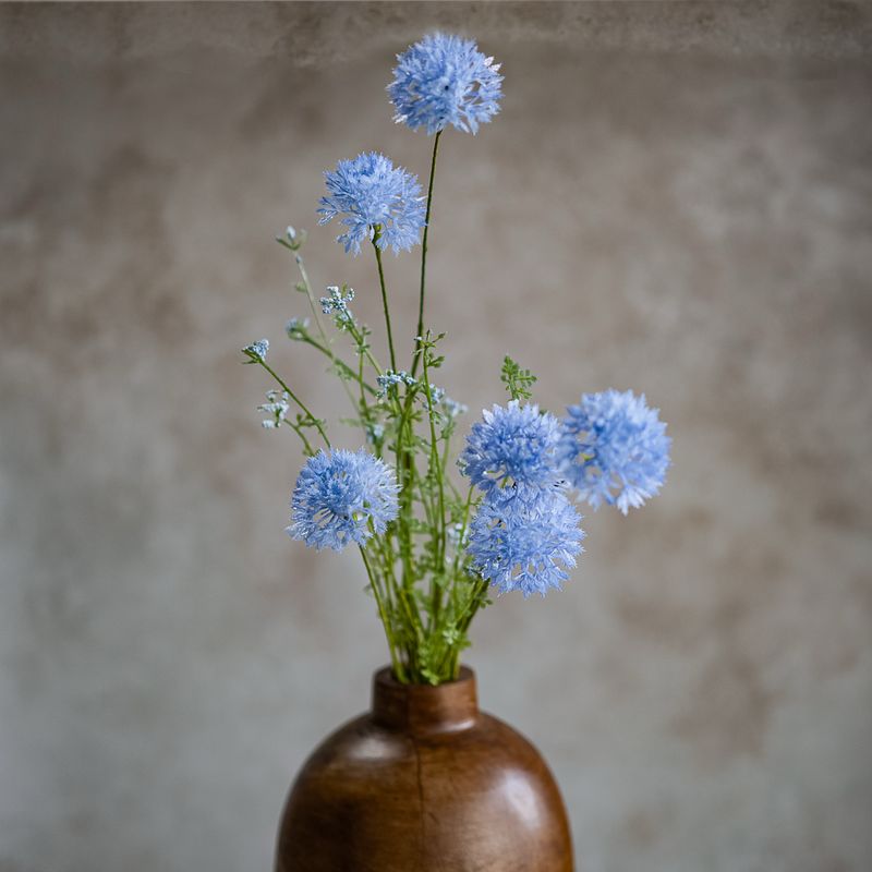 PDG 25" Bl Dandelion