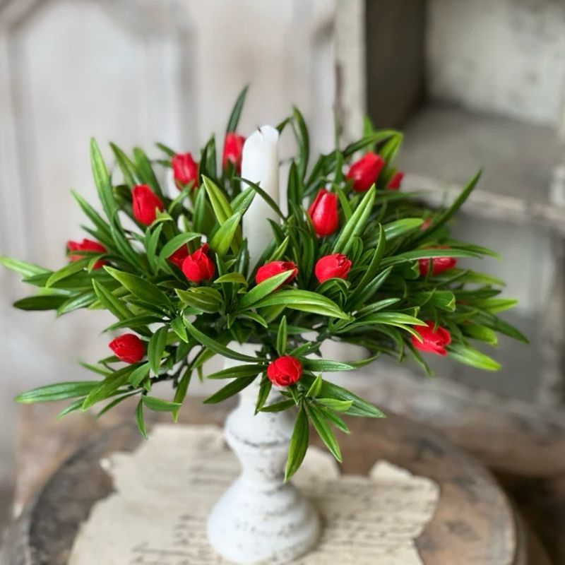 Lan Red 1" Teacup Tulip CR