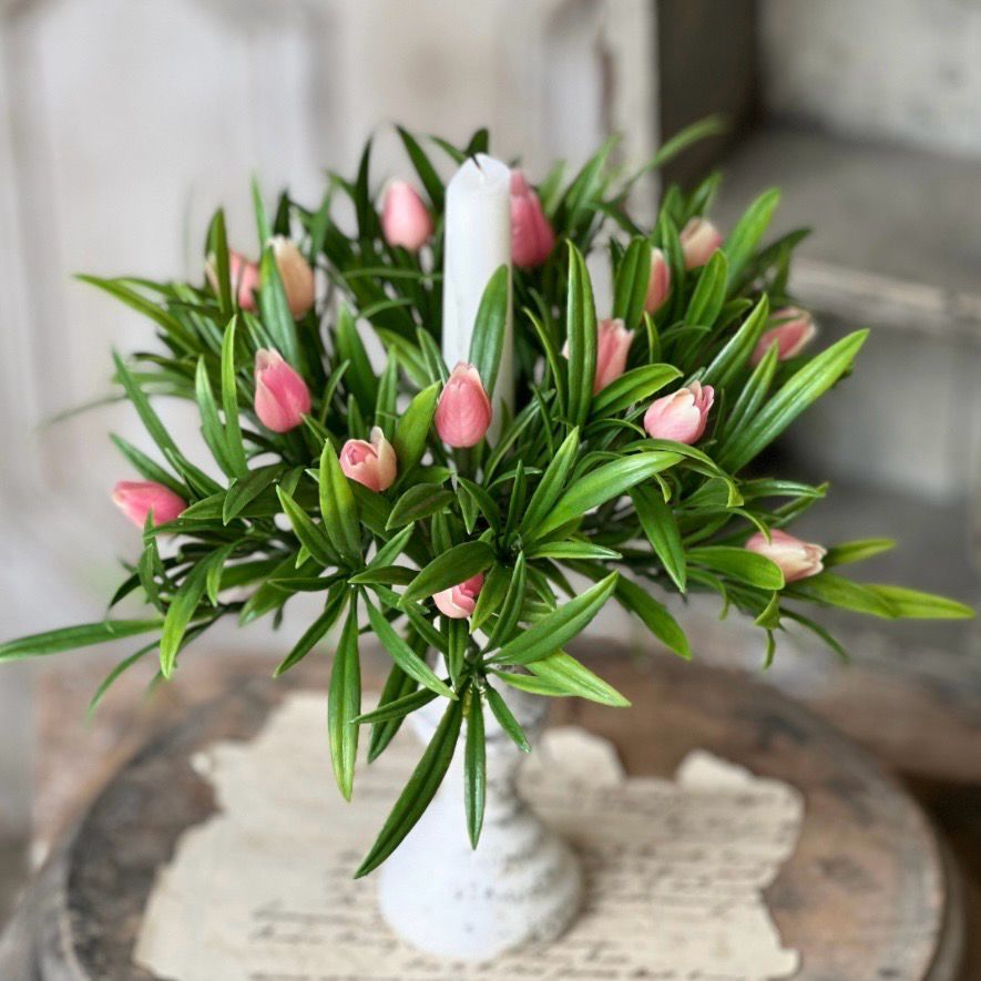 Lan Pink 1" Teacup Tulip CR