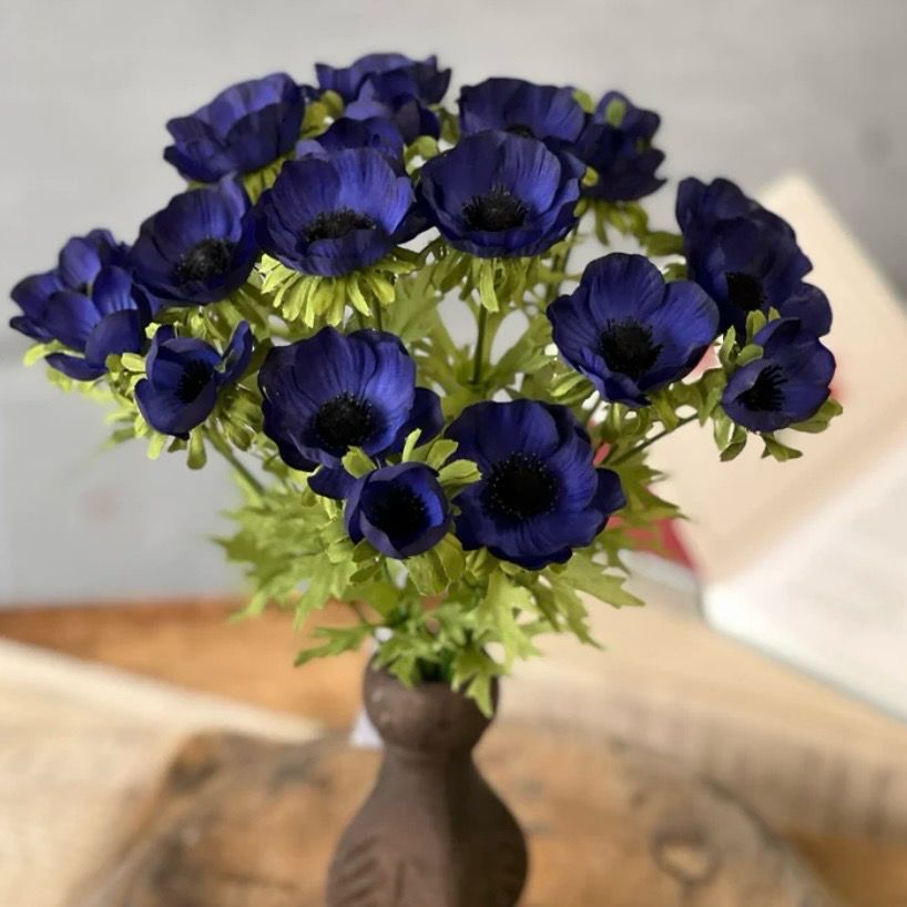 Lan Sapphire 14" Adonis Blooms