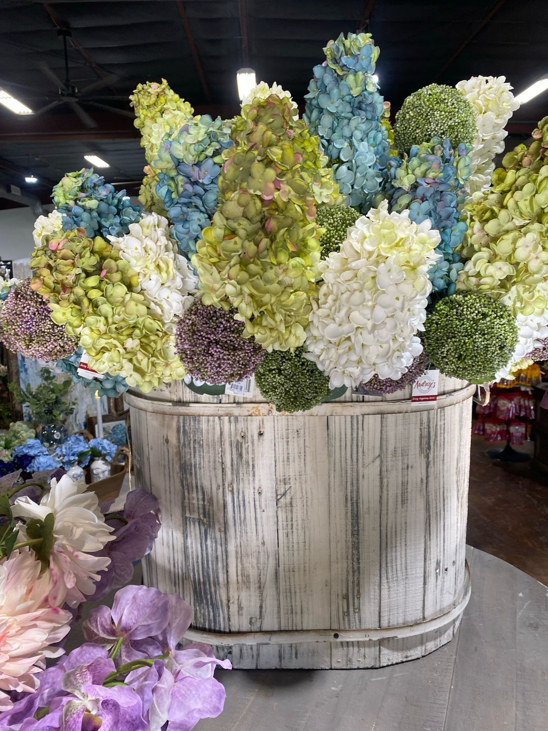 Aud 36" Cone Hydrangea Bl