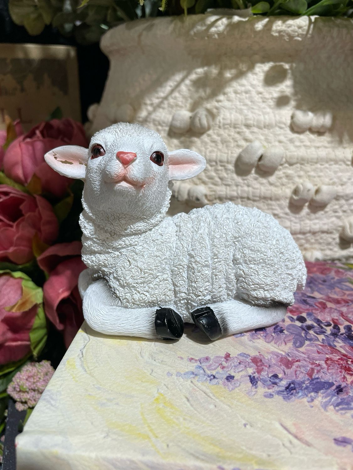 Han Laying Little Lambchop 3x4