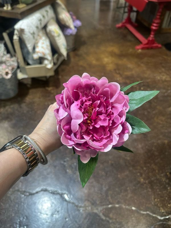 Aud Fuchsia Peony 22"