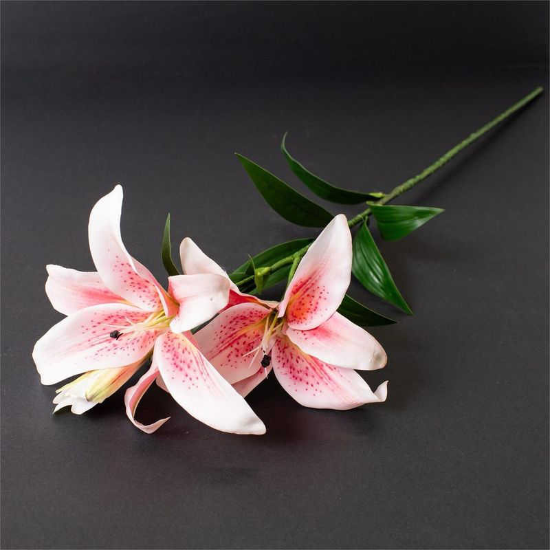 Aud Pink RT Lily 36"