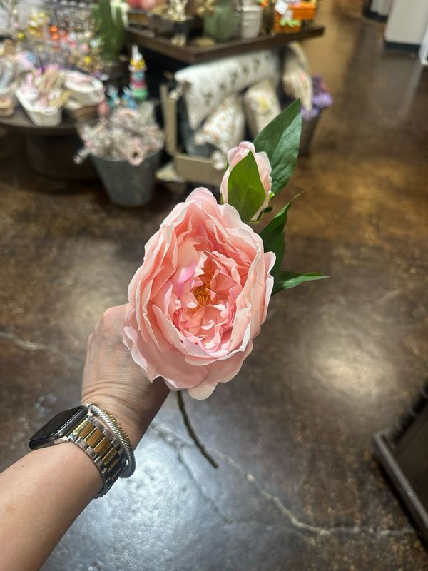 Aud Lt Pink RT Peony 24"