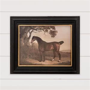 Aud 14x12 Horse Framed Print