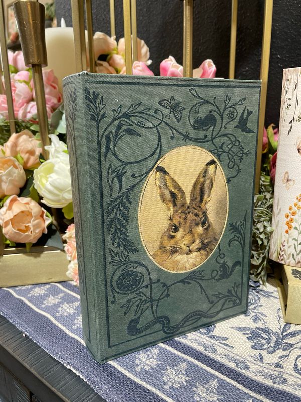 Aud Lg Rabbit Storage Book 9.25x6.75x2.5