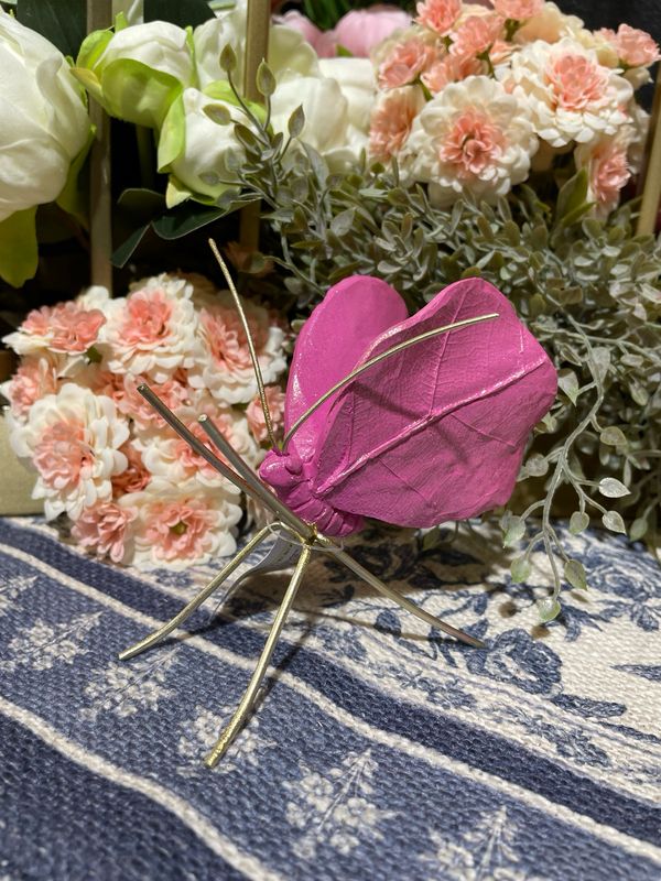 Reg 2 Styles Hot Pink Pearlized Butterfly