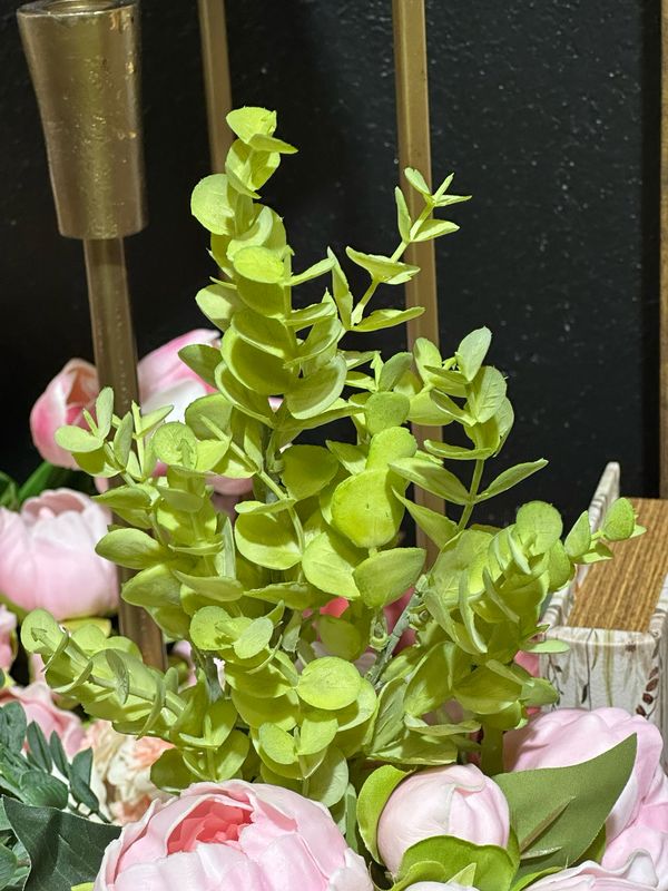 Reg Green Spring Euc Pick 15.5"