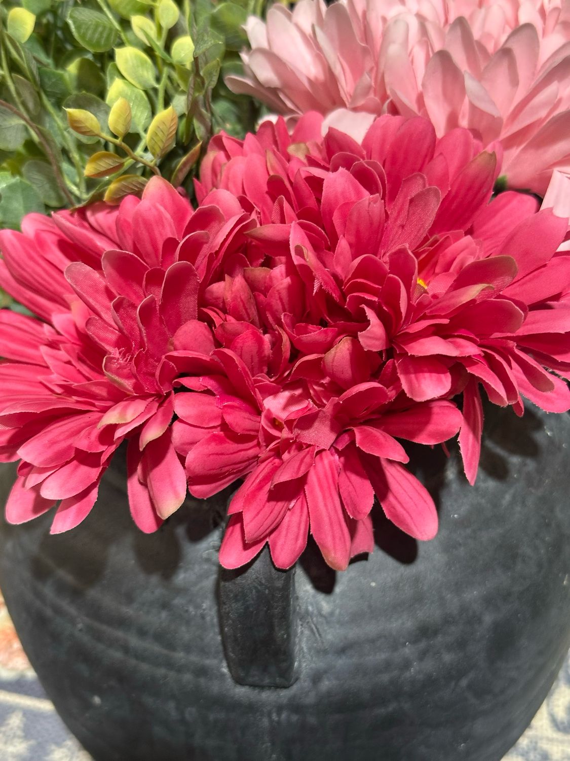 Reg Hot Pink ST Gerbera Bundles x5