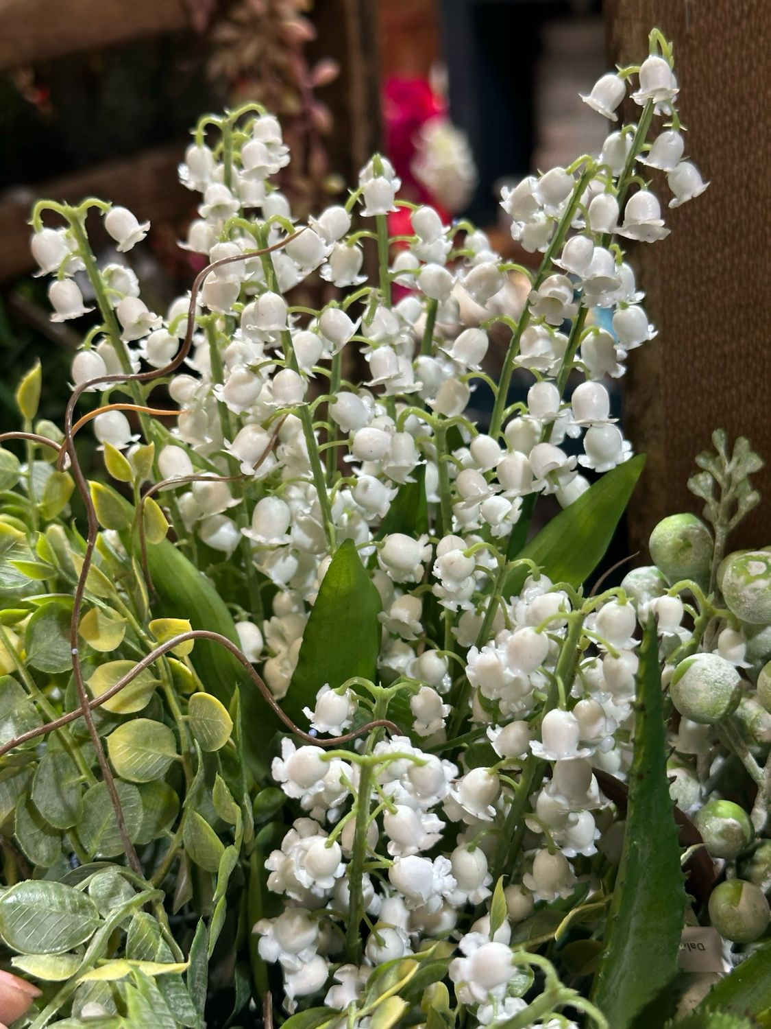 Reg White 16" Lily Of The Valley Bundle x5