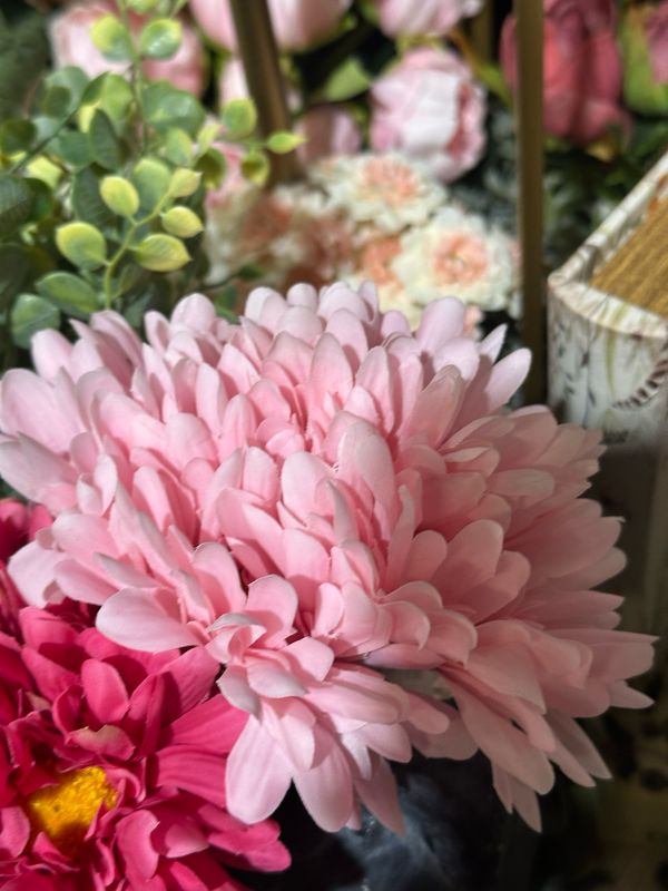 Reg Pink ST Gerbera Bundles x5