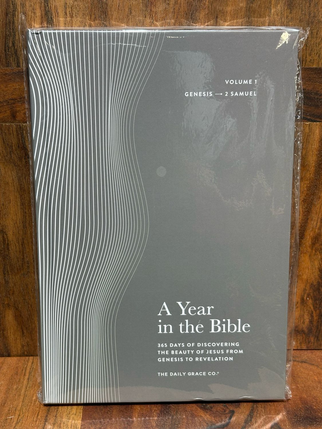 TDGC HC Vol 1 Year In The Bible