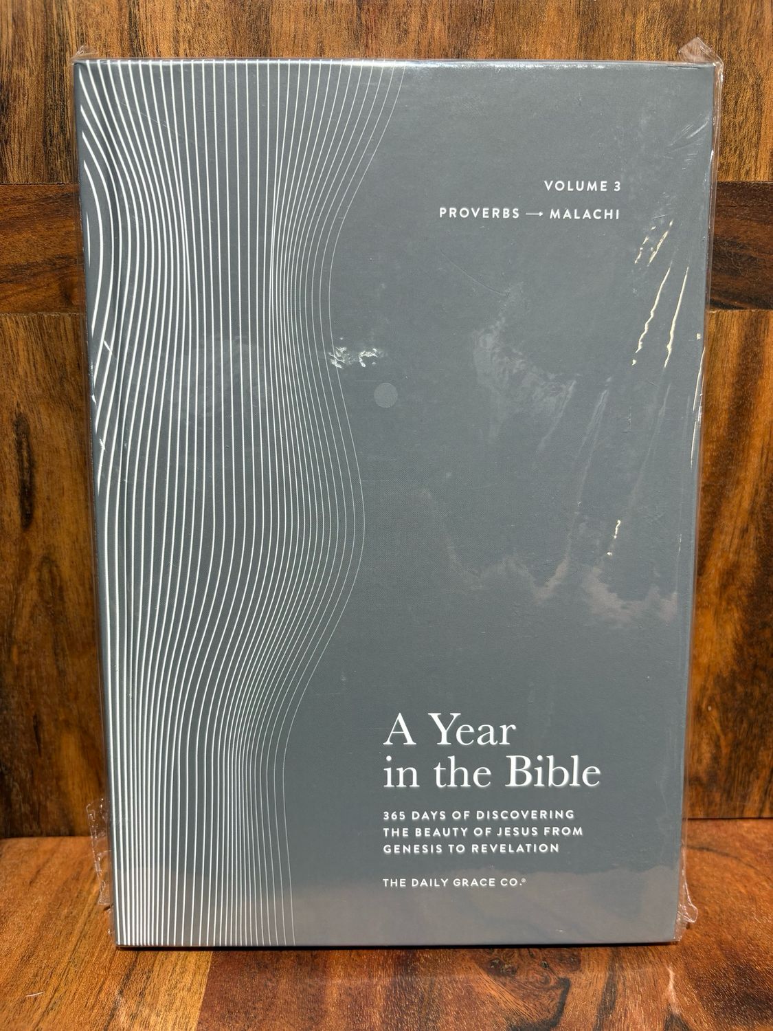 TDGC HC Vol 3 Year In The Bible