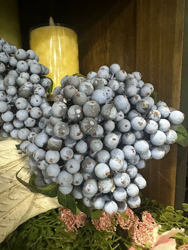 Fan Blue 11" Berry Bundle