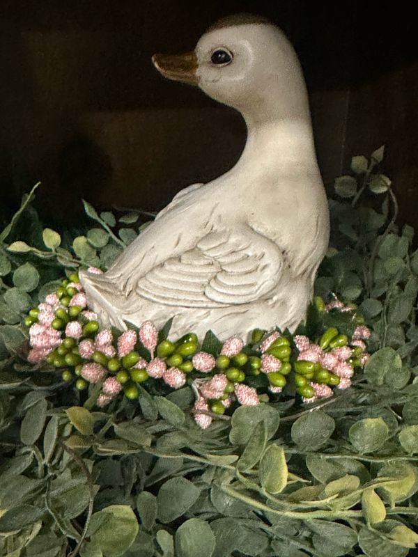 Fan Pink Green 3.5" Mini Berry CR