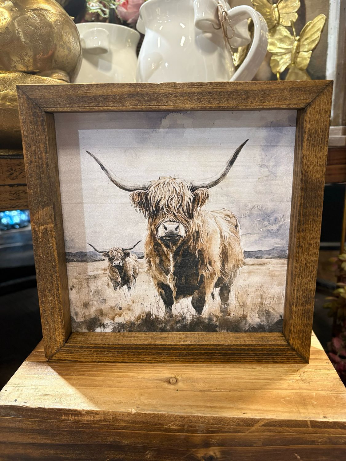 Jarmz 9x9 Highland Cows In A Field