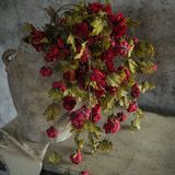 Rag 39" Red Hops Stem