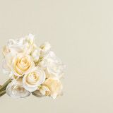 Rag 12" Cream Mini Rose Bundle