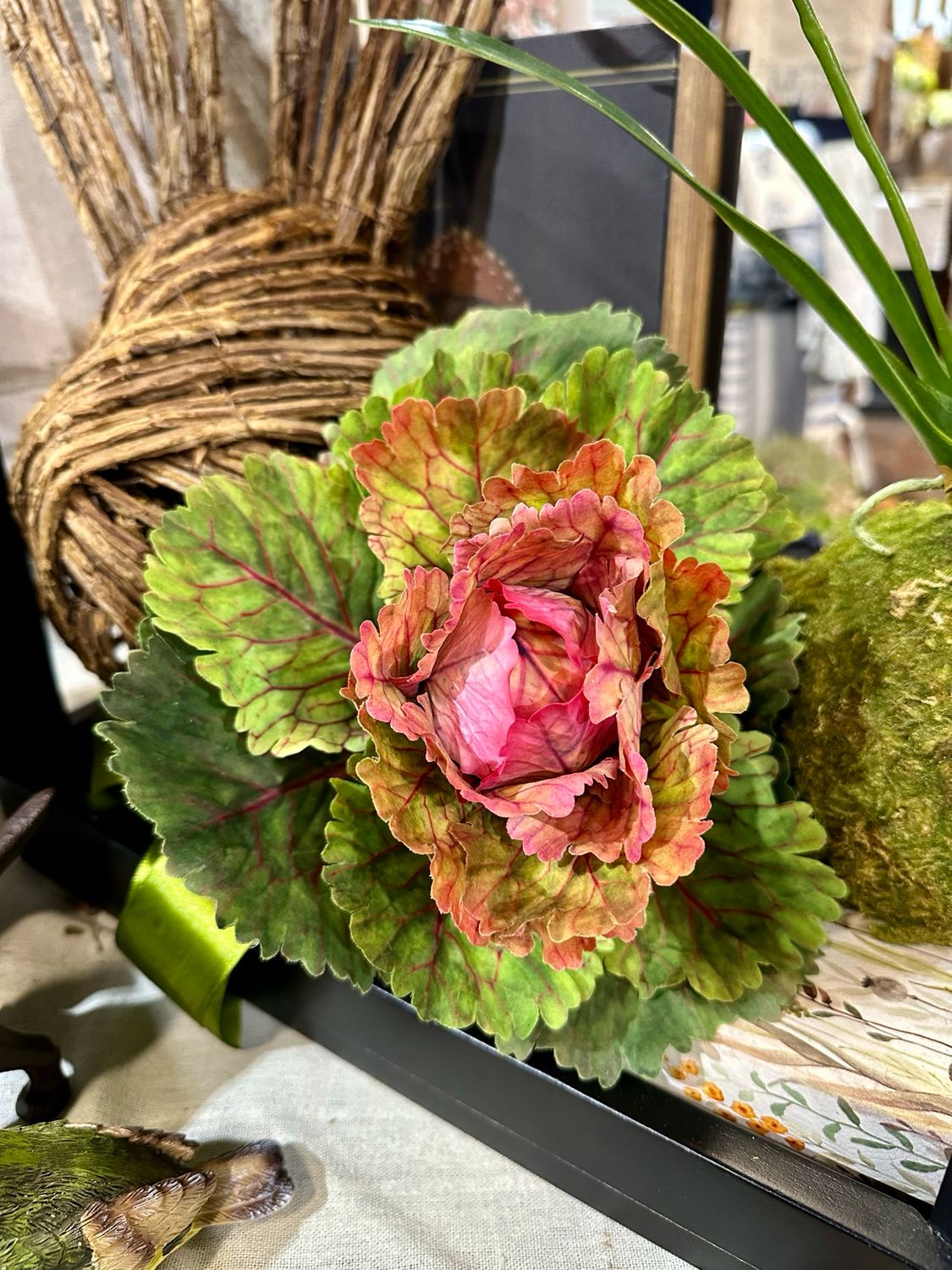 Arl 10" RT Cabbage Pink