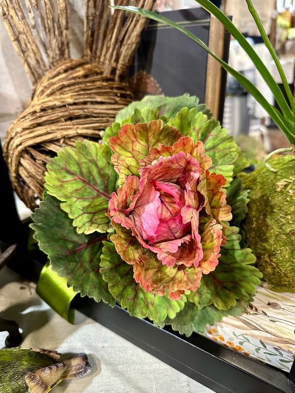 Arl 10" RT Cabbage Pink