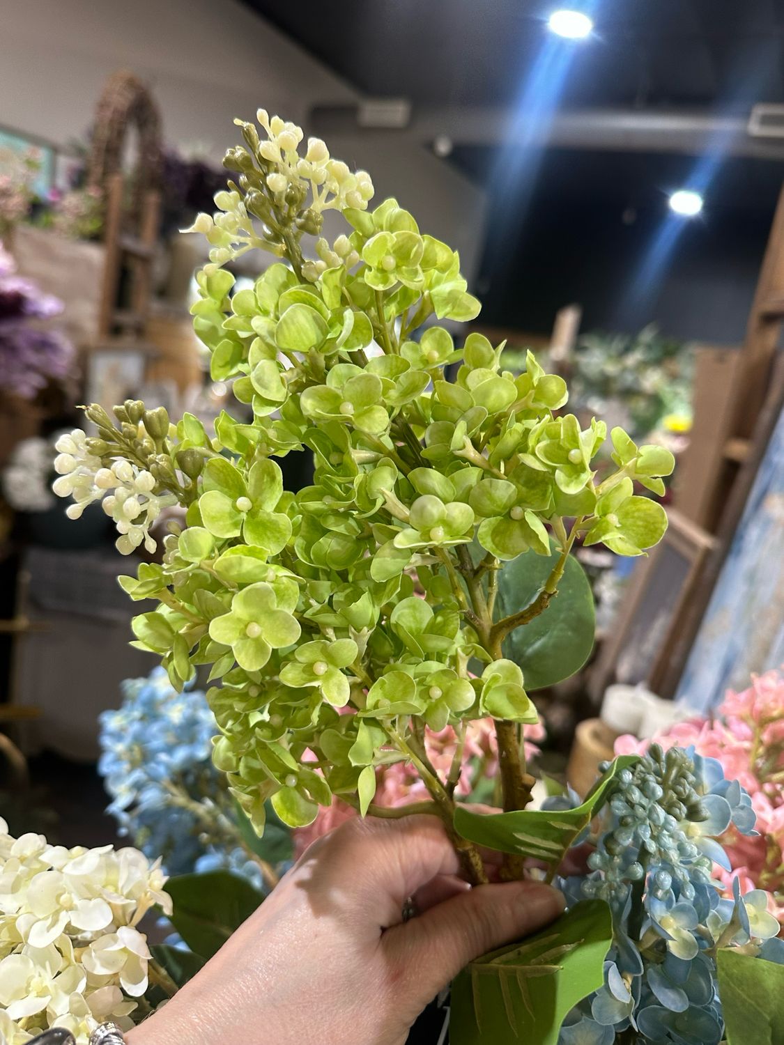 PDG 26" Green Cone Hydrangea Stem