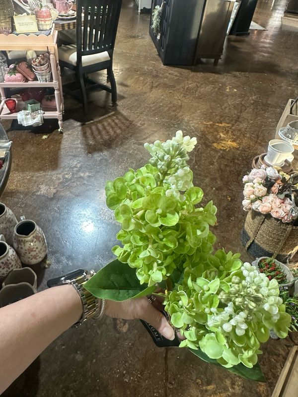 PDG 26" Green Cone Hydrangea Stem