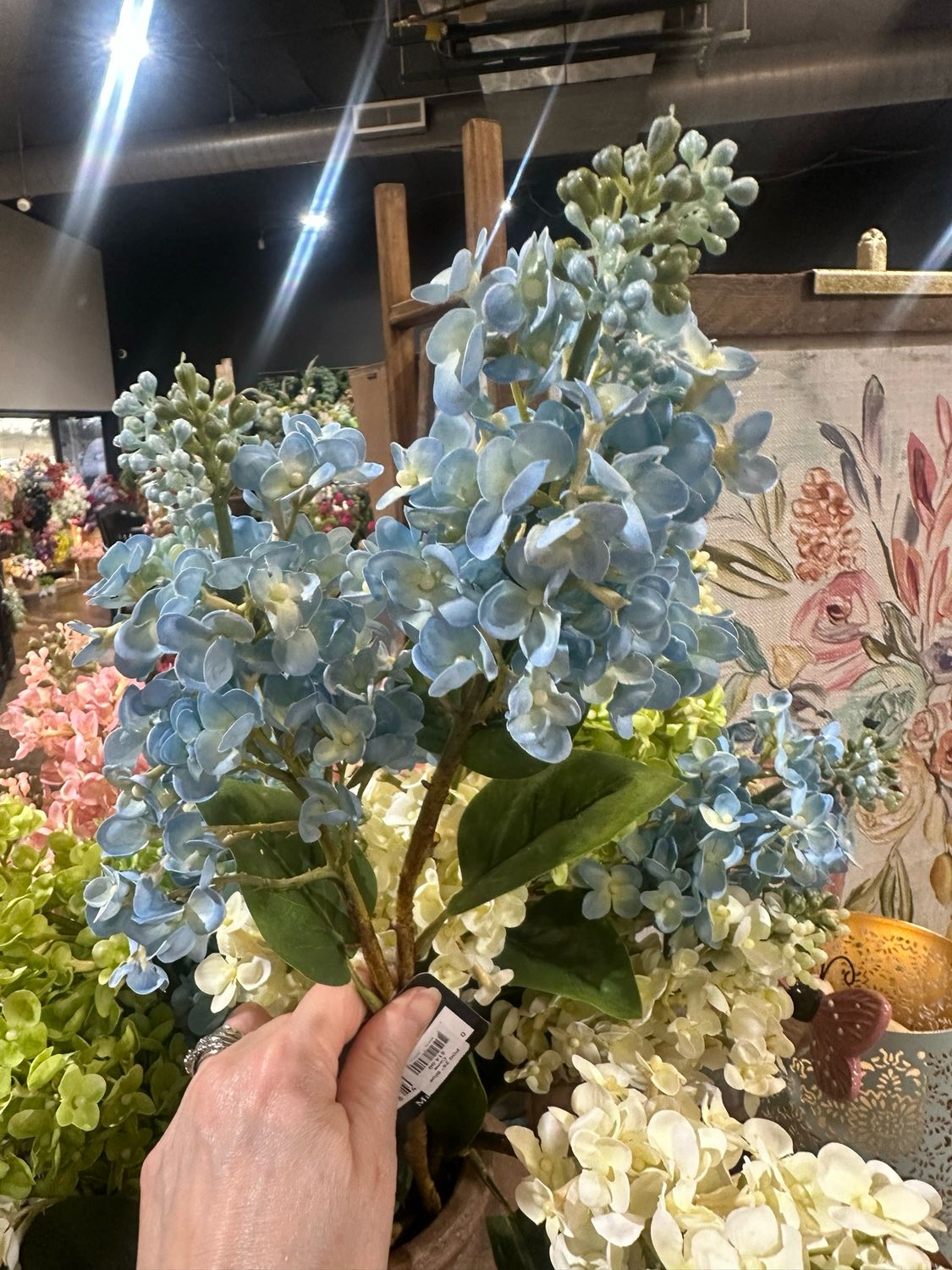 PDG 26" Blue Cone Hydrangea Stem
