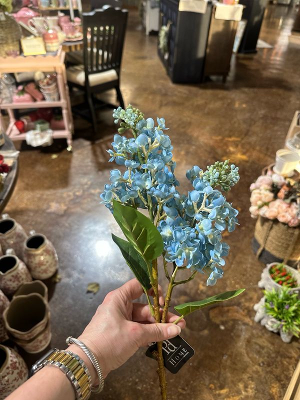 PDG 26" Blue Cone Hydrangea Stem