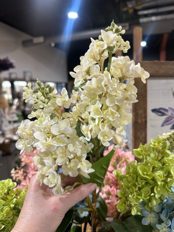 PDG 26" White Cone Hydrangea Stem